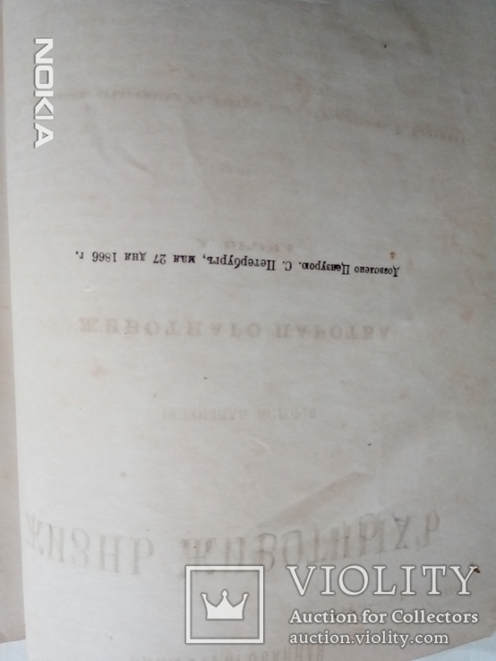 Жизнь животных. 1866 год. А. Брэма. том первый, фото №5