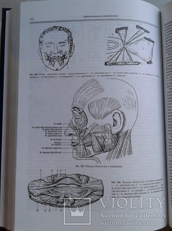 Ортопедическая Стоматология. Аболмасов Н., фото №12