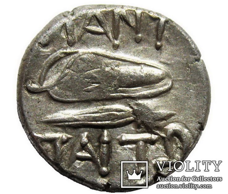 Пантикапей драхма Митридат VI Евпатор 109-63 г. до н.э, фото №3