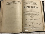 1901 Кулінарія Сирів Як Варити Сири Киів, фото №11