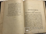 1901 Кулінарія Сирів Як Варити Сири Киів, фото №13