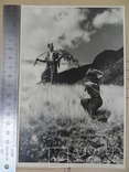Фото №199.альпинист степанов.ущелье баксан.1946 год., фото №4
