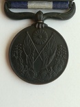 Медаль за Сибирскую интервенцию(война 1914-1920г), Япония., фото №7