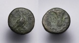 Еоліда, м.Кіми (Кіма), 350-250 до н.е. – орел / скіфос, фото №2