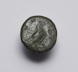 Еоліда, м.Кіми (Кіма), 350-250 до н.е. – орел / скіфос, фото №4