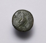 Еоліда, м.Кіми (Кіма), 350-250 до н.е. – орел / скіфос, фото №5
