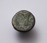 Еоліда, м.Кіми (Кіма), 350-250 до н.е. – орел / скіфос, фото №9