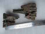 Окаменелые кости доисторического животного. Окаменелость. Бизон?, фото №11