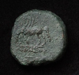 Понтійське царство, м.Аміс, Мітрідат VI Евпатор, 85-65р. до н.е. – Персей / Пегас, фото №4