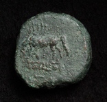 Понтійське царство, м.Аміс, Мітрідат VI Евпатор, 85-65р. до н.е. – Персей / Пегас, фото №8
