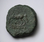 Понтійське царство, м.Аміс, Мітрідат VI Евпатор, 85-65р. до н.е. – Персей / Пегас, фото №11