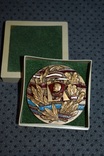 Медаль настольная 60 лет ВЛКСМ лмд Б. Старис бронза эмаль, фото №2