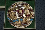 Медаль настольная 60 лет ВЛКСМ лмд Б. Старис бронза эмаль, фото №3