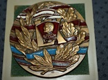 Медаль настольная 60 лет ВЛКСМ лмд Б. Старис бронза эмаль, фото №5