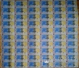  1  ₴ 2018 не разрезанный лист банкнот НБУ номиналом 60шт в листе UNC, фото №5