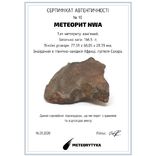 Кам'яний метеорит NWA, пустеля Сахара 166,5 грам, фото №5