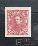 Унр 1920 Україна, проба, дефект печати, фото №2