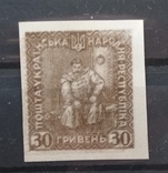 Україна, Унр 1920, Віденська серія, без зубцівка, 30 гривень, фото №3