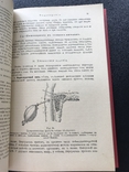1916 Гедон. Учебник по физиологии, фото №7
