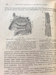 1916 Гедон. Учебник по физиологии, фото №9