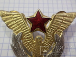 Кокарда военного лётчика, Югославия, фото №5