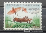 Portuguese Angola. Locust. 1963., photo number 2