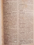 Словарь иностранных слов. Москва, 1964 год. Редкая книга., фото №4