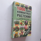 1000 видов комнатных растений. 2012 г., фото №2