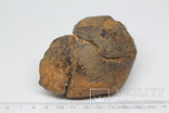 Кам'яний метеорит NWA, пустеля Сахара, 381 грам, фото №4