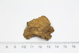 Залізний метеорит Sikhote-Alin, 39.2 грама, з сертифікатом автентичності, фото №2