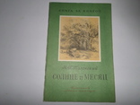 Солнце и месяц 1979 год. Москва Я.П. Полонский, фото №2
