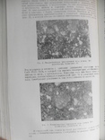 Физико-химические основы керамики. П.Будников М.1956г., фото №7