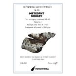 Залізний метеорит Uruacy, 54 г, із сертифікатом автентичності, фото №3