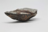 Залізний метеорит Uruacy, 54 г, із сертифікатом автентичності, фото №6