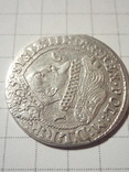 Орт Сигизмунд lll ваза 1625, фото №5