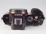 Sony A7R(ILCE-7R)., photo number 6