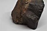Кам'яний метеорит NWA, 2.16 кг, із сертифікатом автентичності, фото №10