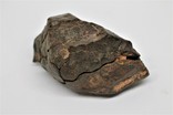 Кам'яний метеорит NWA, 578 г, із сертифікатом автентичності, фото №9