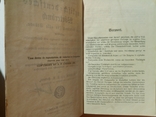 Новый англо-немецкий словарь 1926, фото №4