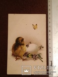 Пасхальная открытка с цыплёнком. Цветная., фото №2