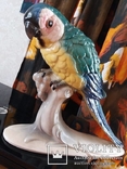  «Hertwig &amp; Co» Попугай на ветке номер 4972, фото №5