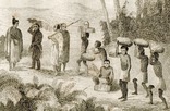 Старинная гравюра. Миссионер со свитой в Новой Зелландии, фото №4