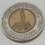 Єгипет 1 фунт, 2005 не магнетик, фото №2
