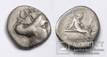 Острів Евбея, м.Гістіея (Ореос), срібний тетробол, ІІІ-ІІ ст. до н.е., фото №2