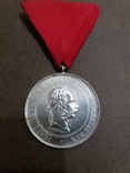 Медаль за развитие коневодства Австро-Венгрия, фото №2
