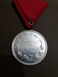 Медаль за развитие коневодства Австро-Венгрия, фото №3