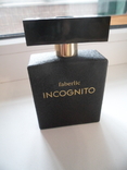 Incognito, фото №4