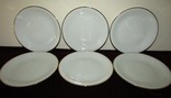 Антикварные тарелки фарфор клеймо Oscar Schaller &amp; Co. Германия 1935 -50 г.г., фото №2