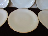 Антикварные тарелки фарфор клеймо Oscar Schaller &amp; Co. Германия 1935 -50 г.г., фото №8