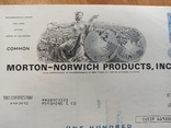 Morton-Norwich Products, фото №2